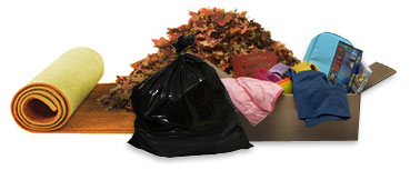 junk removal service